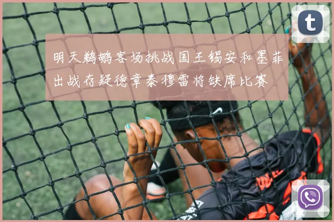 明天鹈鹕客场挑战国王锡安和墨菲出战存疑德章泰穆雷将缺席比赛