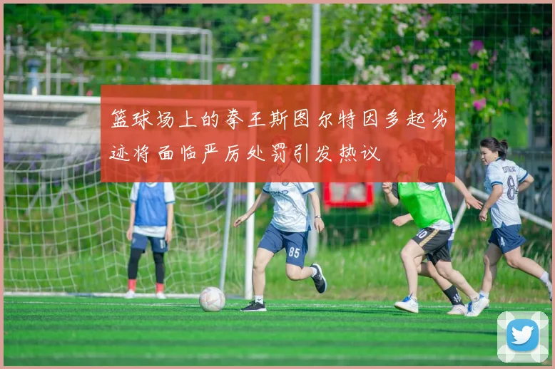 篮球场上的拳王斯图尔特因多起劣迹将面临严厉处罚引发热议