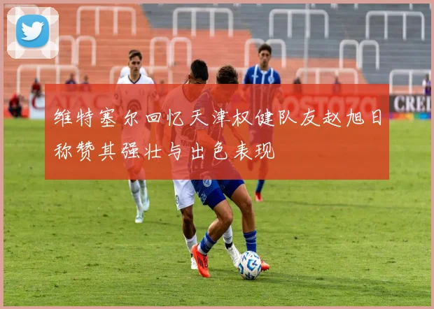 维特塞尔回忆天津权健队友赵旭日称赞其强壮与出色表现
