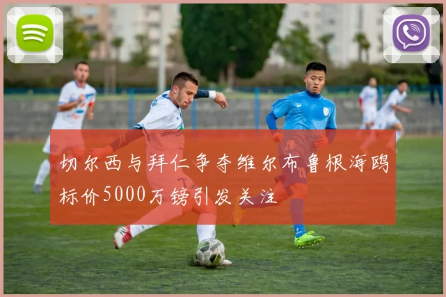 切尔西与拜仁争夺维尔布鲁根海鸥标价5000万镑引发关注