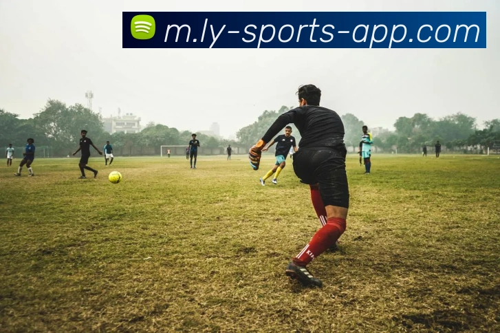 乐鱼体育品牌故事