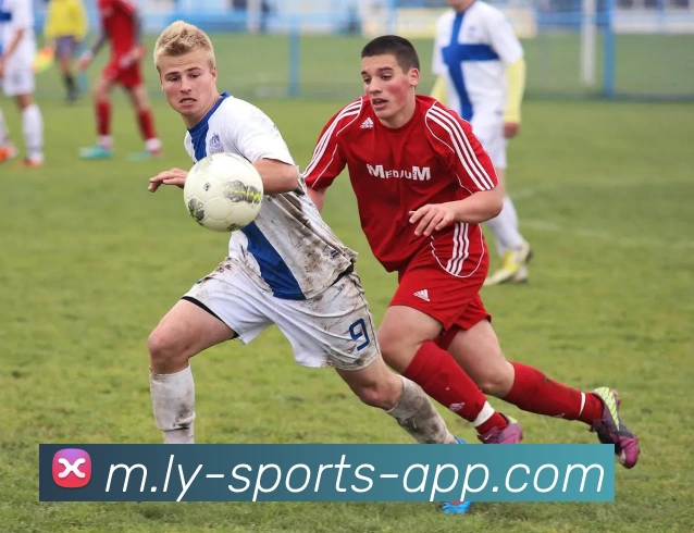 乐鱼体育服务体系